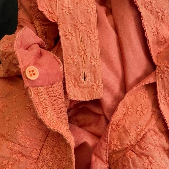 BB Dakota Steve Madden Mini Dress Size Medium Embroidered Ruffle Sleeve - Picture 5 of 6